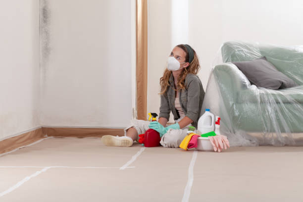 Reliable Basement Mold Remediation contractor in Oakdale, PA by WQB Mold Removal